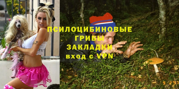 a pvp Арсеньев